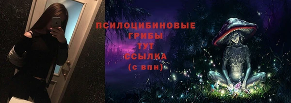 амф Бородино