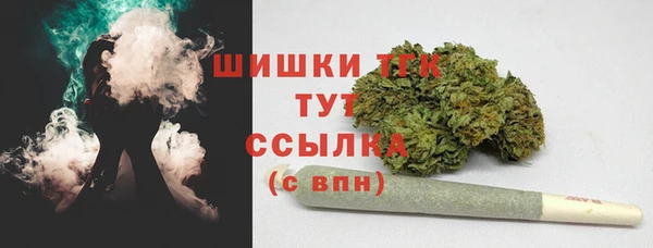 амф Бородино