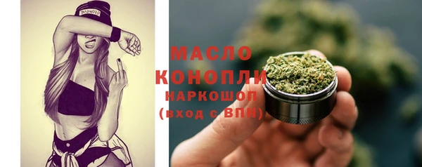 амф Бородино