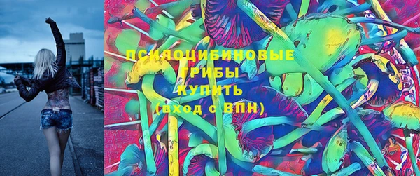 амф Бородино