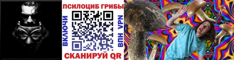 Галлюциногенные грибы Magic Shrooms Мончегорск