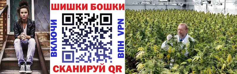 MEGA ссылки Мончегорск Шишки марихуана индика